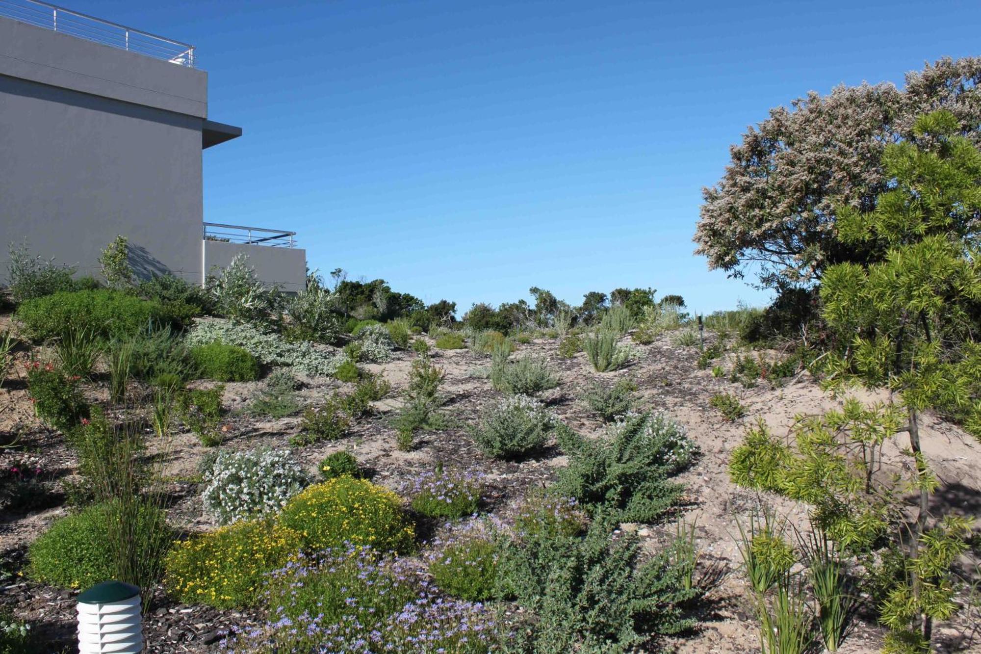 The Robberg Beach Lodge - Lion Roars Hotels & Lodges Plettenberg Bay Exterior photo